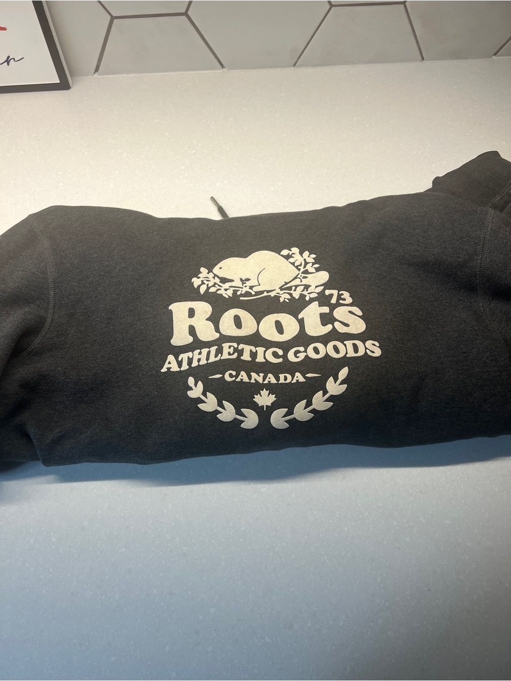 Roots Grey Hoodie